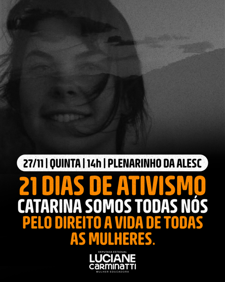 Luciane Carminatti convoca audiência pública para discutir a segurança e proteção às mulheres