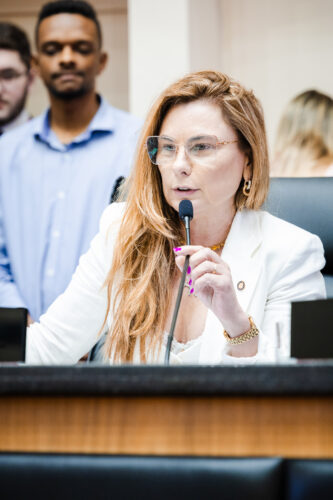 - Deputada Paulinha (Podemos)