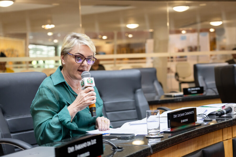 - Deputada Luciane Carminatti (PT)