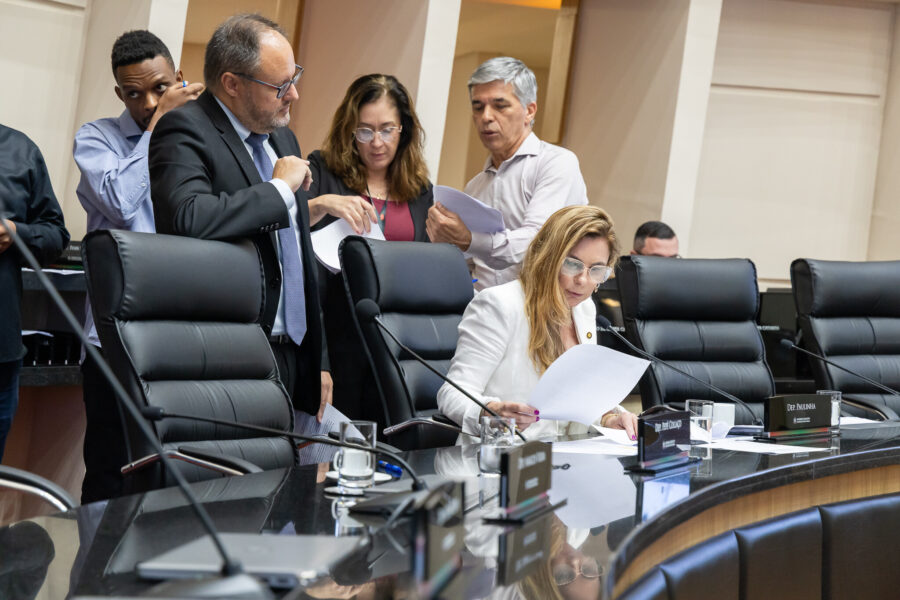 - Deputada Paulinha (Podemos)