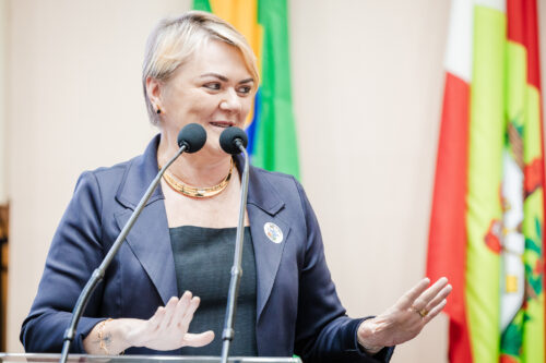 - Deputada Luciane Carminatti (PT)