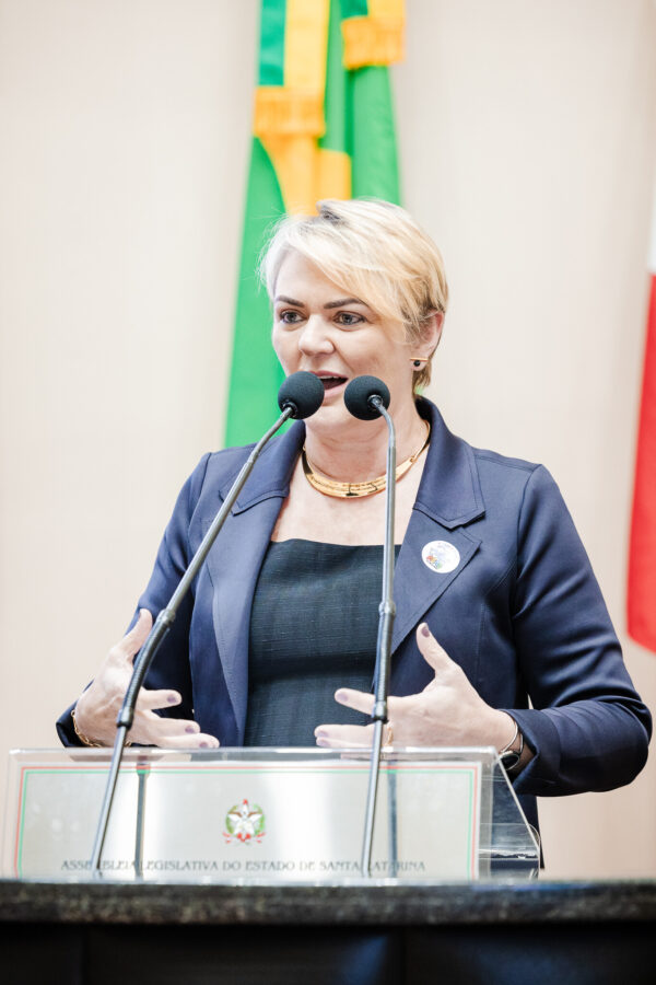 - Deputada Luciane Carminatti (PT)