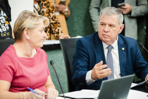 - Deputada Luciane Carminatti (PT) 		
 - Deputado Mário Motta (PSD)