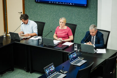 - Deputado Marquito (PSOL)
- Deputada Luciane Carminatti (PT) 		
 - Deputado Mário Motta (PSD)