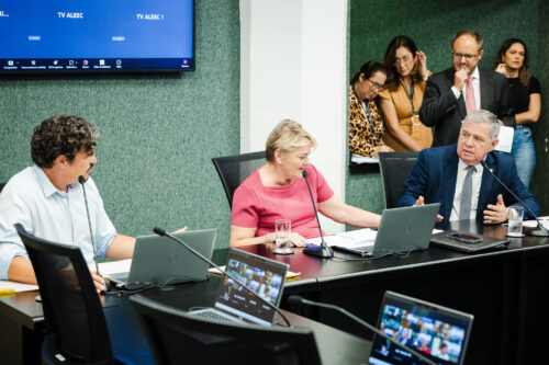 - Deputado Marquito (PSOL)
- Deputada Luciane Carminatti (PT) 		
 - Deputado Mário Motta (PSD)