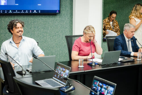 - Deputado Marquito (PSOL)
- Deputada Luciane Carminatti (PT) 		
 - Deputado Mário Motta (PSD)