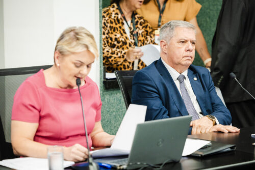 - Deputada Luciane Carminatti (PT) 		
 - Deputado Mário Motta (PSD)