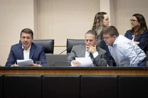 - Deputado Camilo Martins (Podemos) 	
- Deputado Altair Silva (PP)