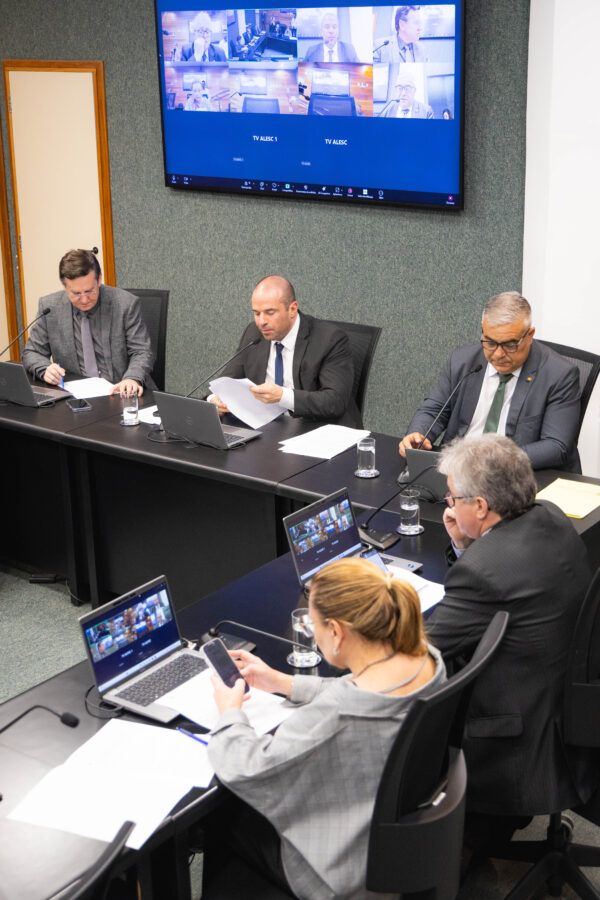 - Deputado Jair Miotto (União) 	
 - Deputado Jessé Lopes (PL) 
 - Deputado Sargento Lima (PL)