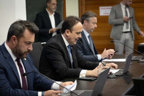 - Deputado Marcius Machado (PL) 
- Deputado Carlos Humberto (PL)
 - Deputado Napoleão Bernardes (PSD)