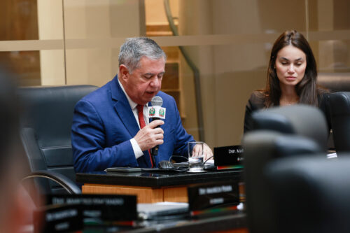 - Deputado Mário Motta (PSD)