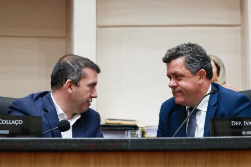 - Deputado Camilo Martins (Podemos) 	
 - Deputado Ivan Naatz (PL)