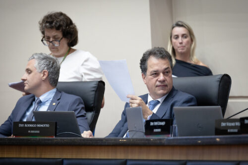 - Deputado Rodrigo Minotto (PDT)