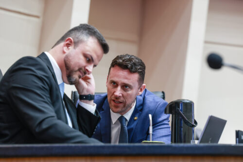 - Deputado Lucas Neves (Podemos) 	
 - Deputado Fernando Krelling (MDB)