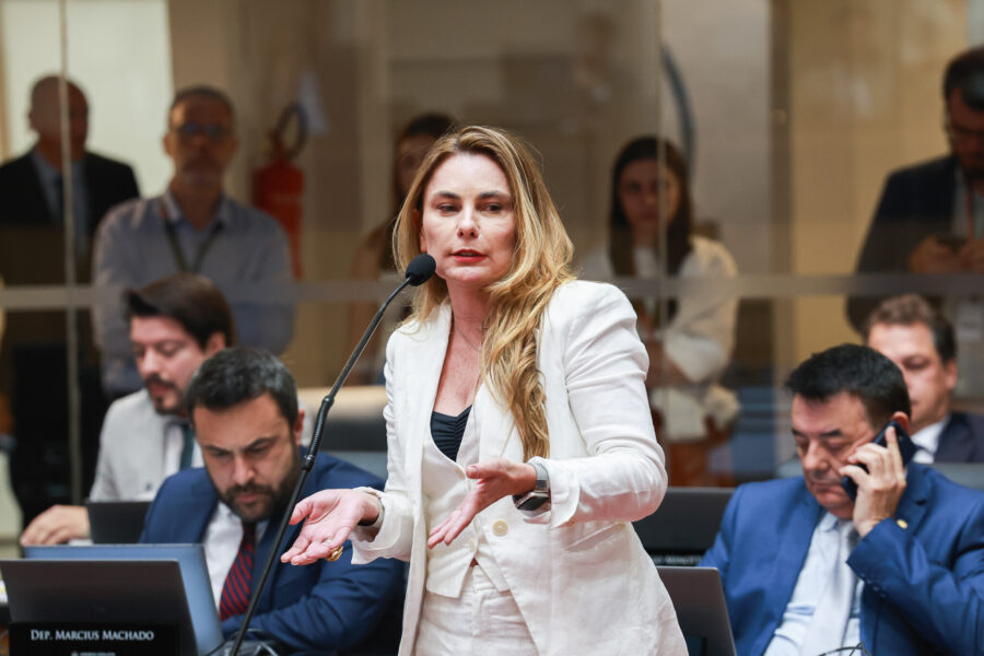 - Deputada Paulinha (Podemos)