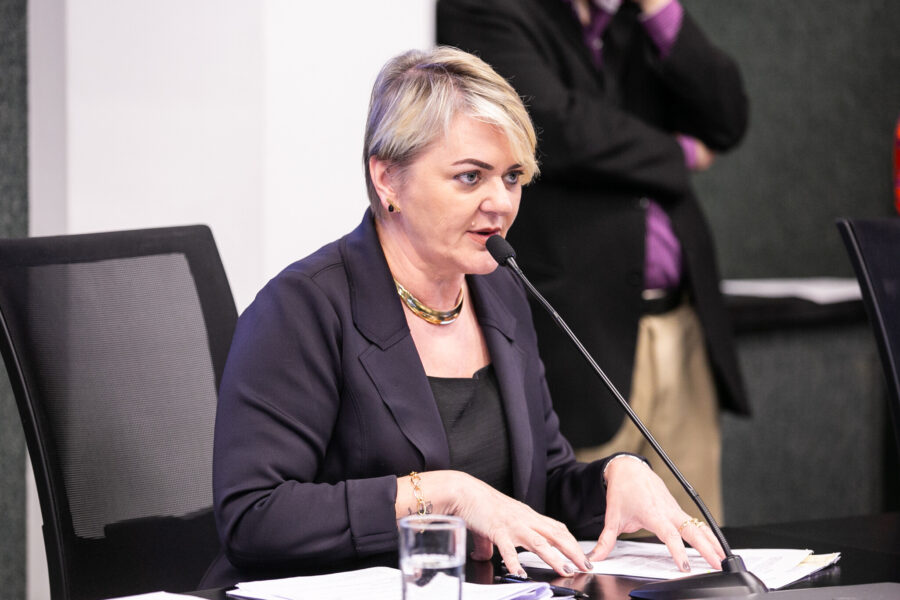 - Deputada Luciane Carminatti (PT)
