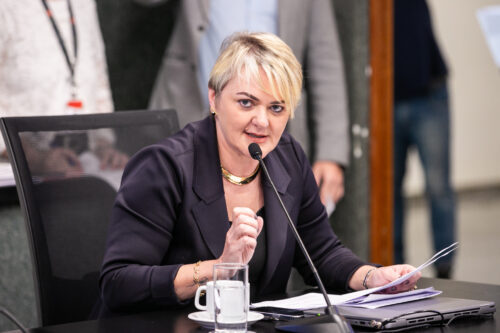 - Deputada Luciane Carminatti (PT)