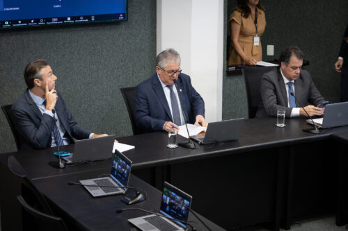 - Deputado Napoleão Bernardes (PSD) 	
 - Deputado Tiago Zilli (MDB)
 - Deputado Rodrigo Minotto (PDT)