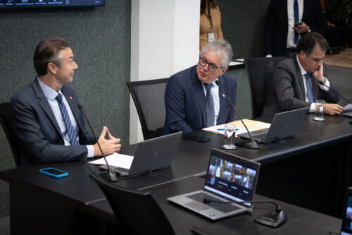 - Deputado Napoleão Bernardes (PSD) 	
 - Deputado Tiago Zilli (MDB)
 - Deputado Rodrigo Minotto (PDT)