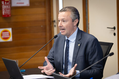 - Deputado Napoleão Bernardes (PSD)