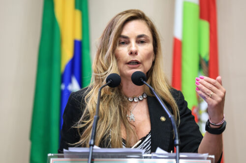 - Deputada Paulinha (Podemos)