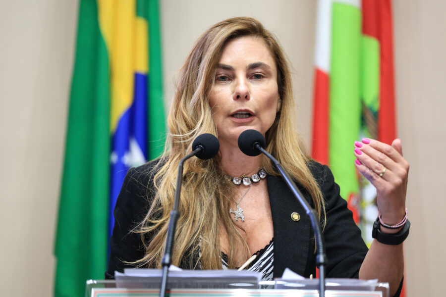 - Deputada Paulinha (Podemos)