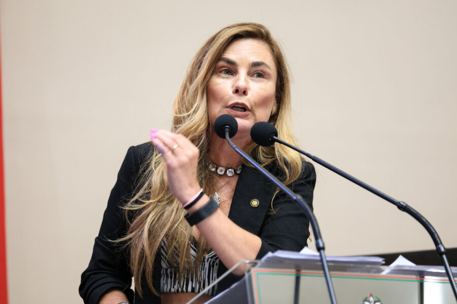 - Deputada Paulinha (Podemos)