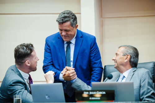- Deputado Fernando Krelling (MDB) 	
- Deputado Ivan Natz (PL)
 - Deputado Julio Garcia (PSD)
