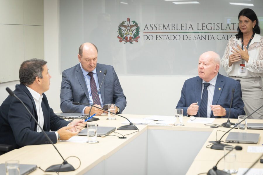 - Deputado Camilo Martins (Podemos) 	
- Deputado Mauro de Nadal (MDB)
- Deputado Marcos Vieira (PSDB)