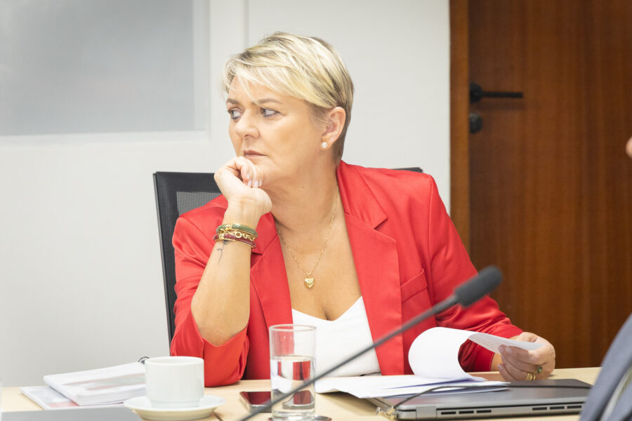 - Deputada Luciane Carminatti (PT)