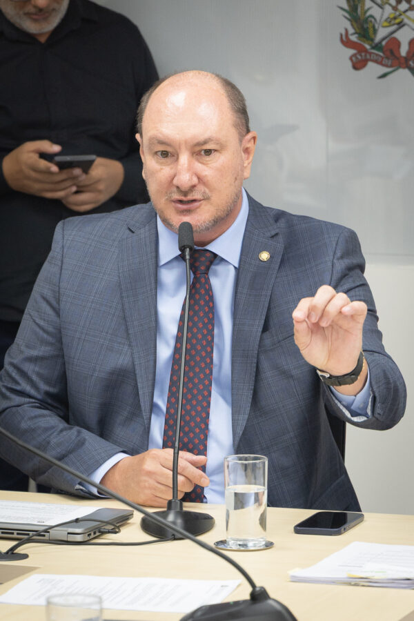 - Deputado Mauro de Nadal (MDB)