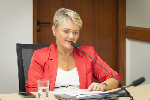 - Deputada Luciane Carminatti (PT)