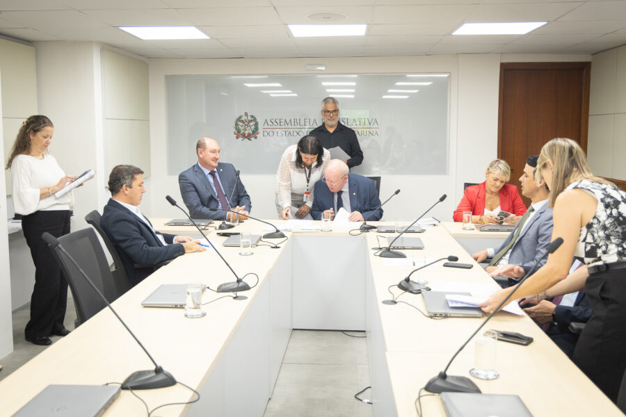 A Comissão de Finanças é presidida pelo deputado Marcos Vieira (PSDB).