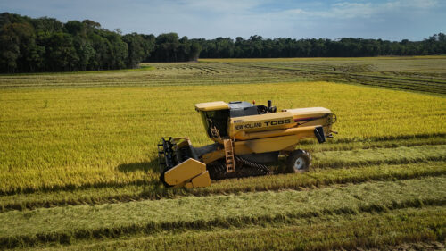 Frente Parlamentar do Cooperativismo debate em Criciúma alternativas para a crise na rizicultura