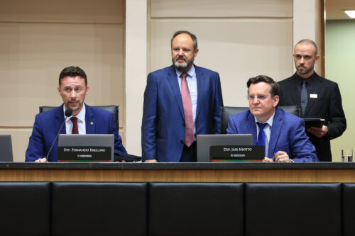 - Deputado Fernando Krelling (MDB) 	
 - Deputado Jair Miotto (União)