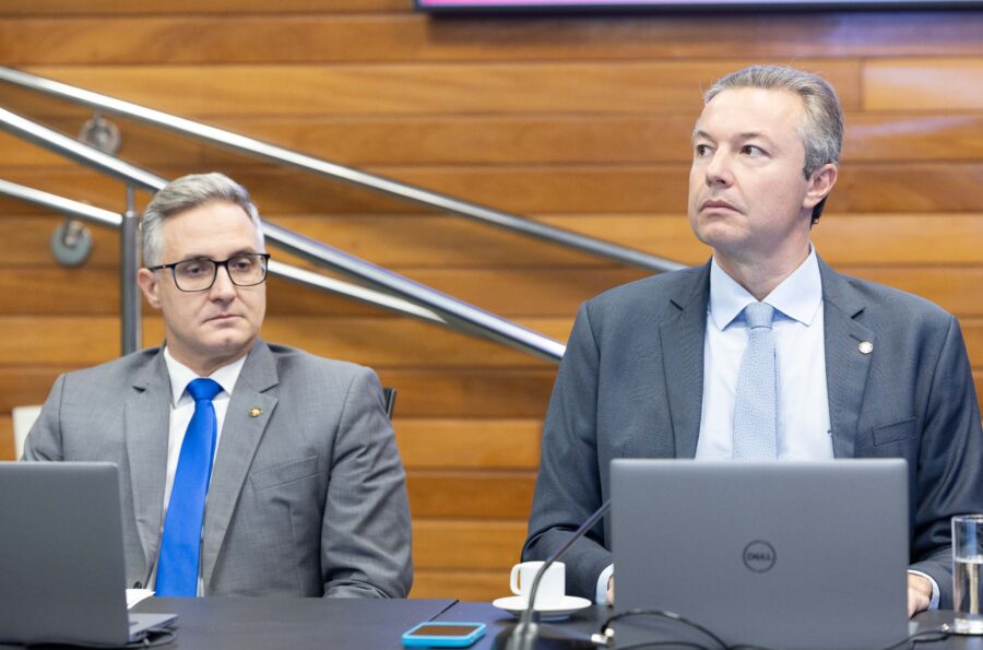 - Deputado Matheus Cadorin (NOVO) 	
 - Deputado Napoleão Bernardes (PSD)