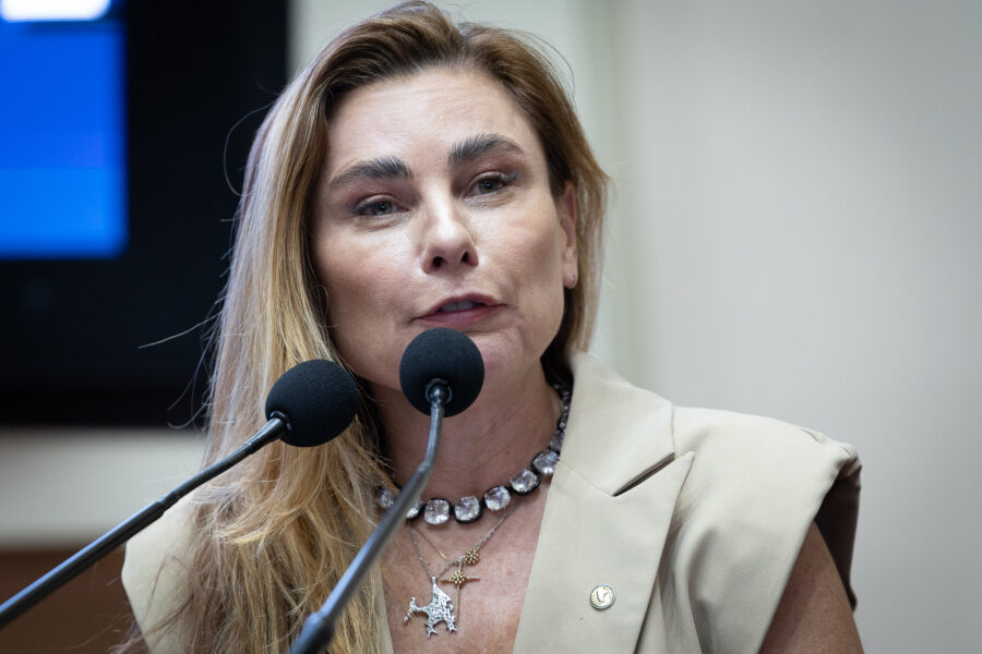 - Deputada Paulinha (Podemos)
