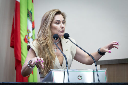 - Deputada Paulinha (Podemos)