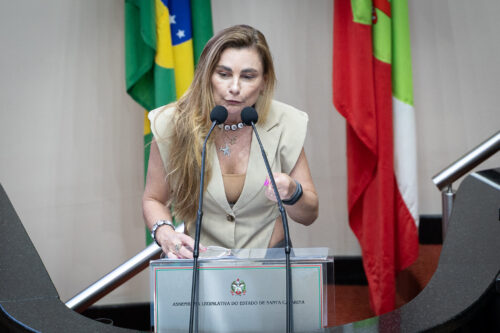 - Deputada Paulinha (Podemos)