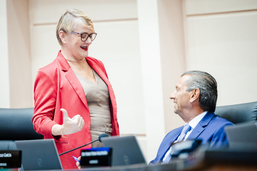- Deputada Luciane Carminatti (PT) 		
- Deputado Julio Garcia (PSD)