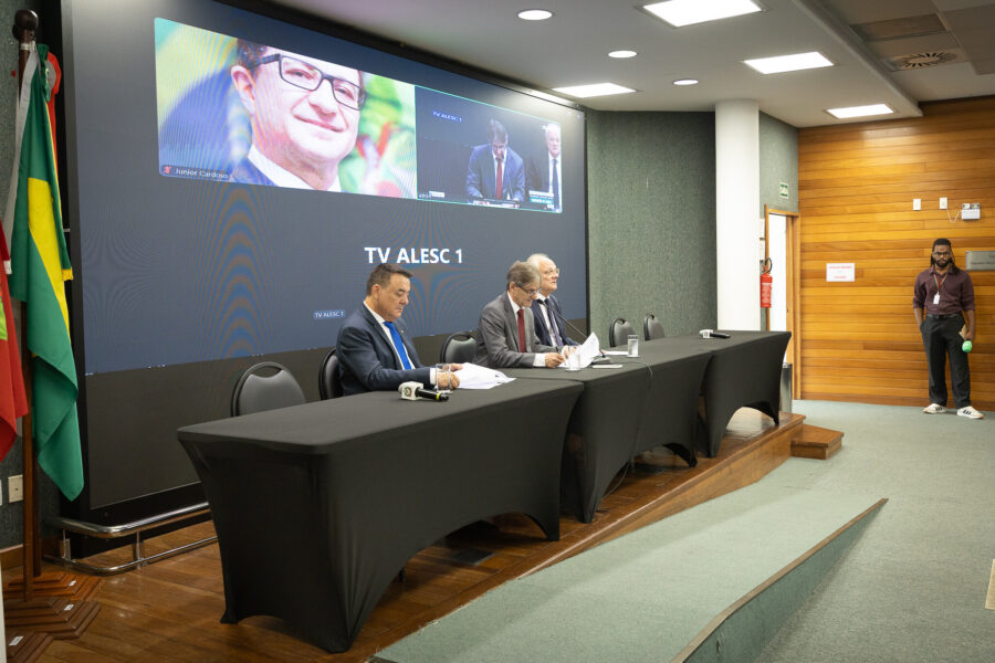 - Deputado Mauricio Peixer (PL)	
- Deputado Neodi Saretta (PT) 	
 - Deputado Dr. Vicente Caropreso (PSDB)