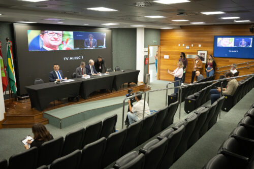 - Deputado Mauricio Peixer (PL)	
- Deputado Neodi Saretta (PT) 	
 - Deputado Dr. Vicente Caropreso (PSDB)