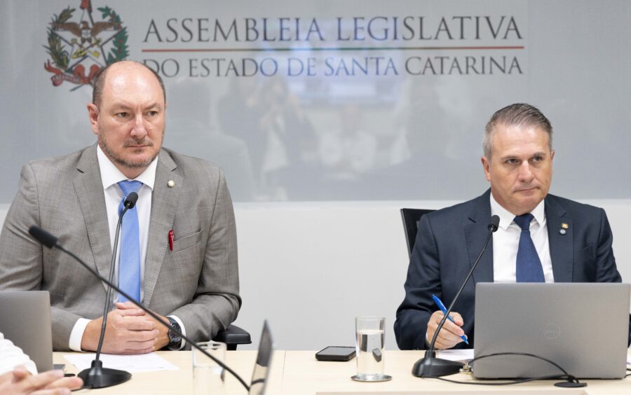 - Deputado Mauro de Nadal (MDB) 	
 - Deputado Altair Silva (PP)