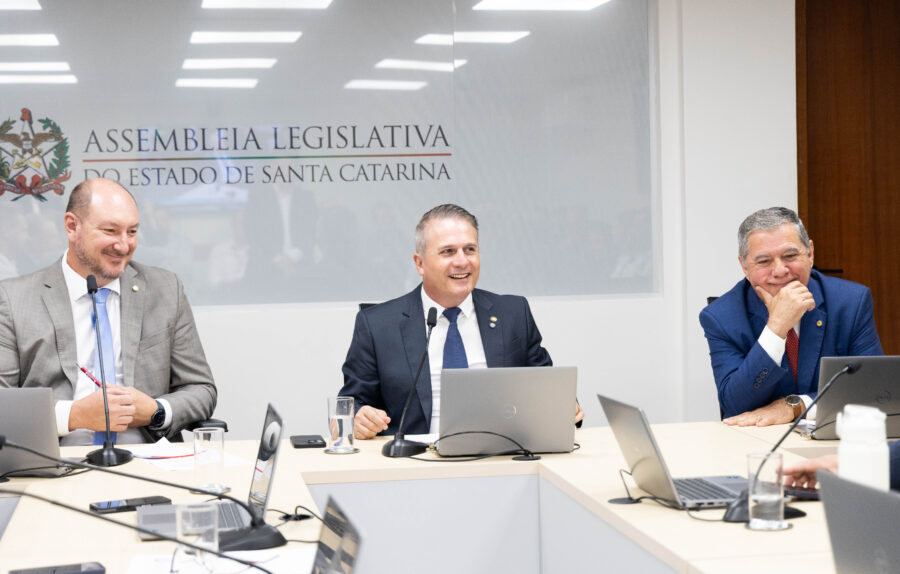 - Deputado Mauro de Nadal (MDB) 	
- Deputado Altair Silva (PP) 	
 - Deputado Mário Motta (PSD)