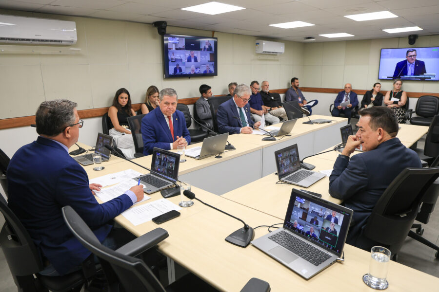 - Deputado Ivan Naatz (PL)
- Deputado Mário Motta (PSD)
 - Deputado Tiago Zilli (MDB)
 - Deputado Mauricio Peixer (PL)