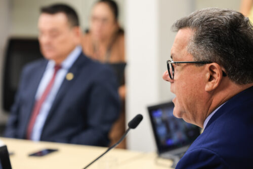 - Deputado Ivan Naatz (PL)