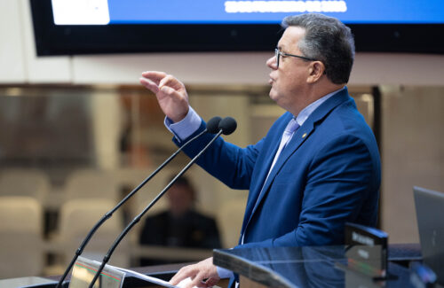 Naatz propõe ao governo a criação da Casa Estadual do Autista