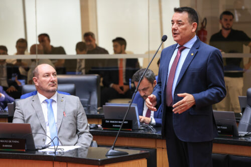 - Deputado Mauro de Nadal (MDB)  - Deputado Mauricio Peixer (PL)