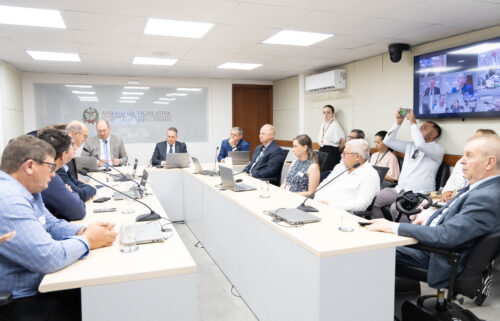 Comissão de Agricultura discute crise da cebola em Santa Catarina