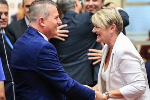 - Deputada Luciane Carminatti (PT)